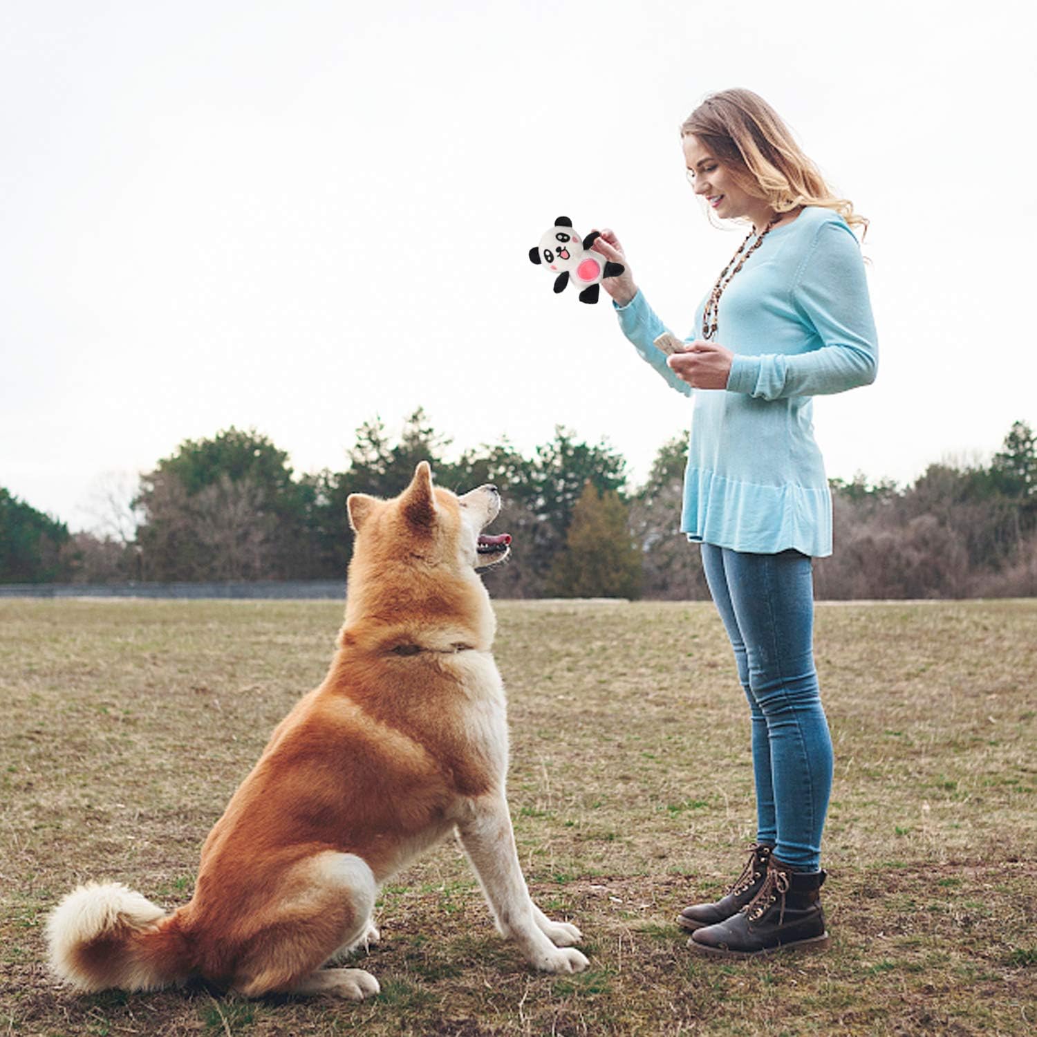 LEGEND SANDY packaged squeaky toys showcase a complete dog toy bundle for gifting.