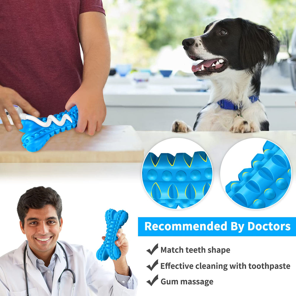 LEGEND SANDY teething toy for puppies in natural rubber soothing gums