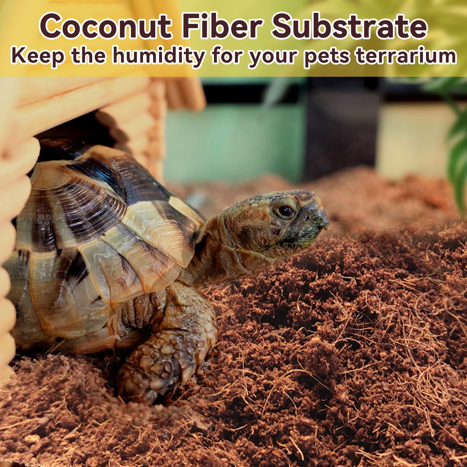 Legigo biodegradable coconut fiber substrate designed for eco disposal.