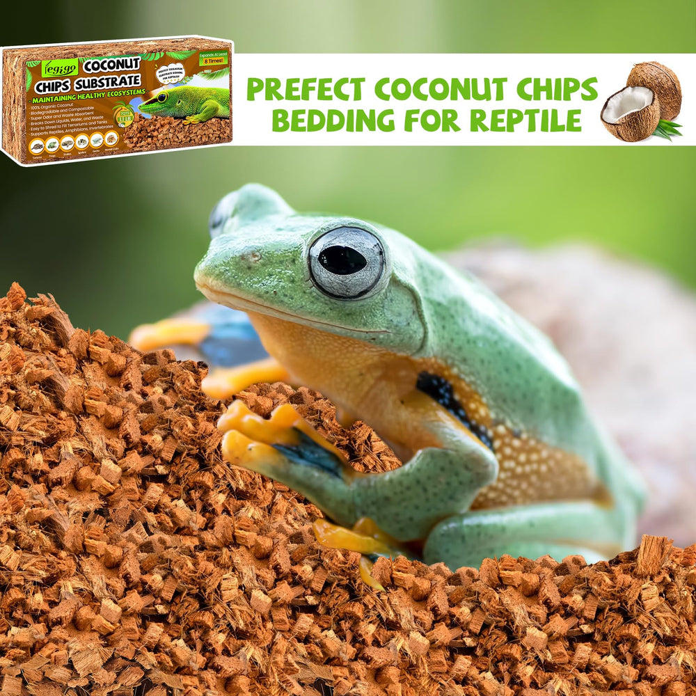 Legigo reptile bedding that supports digging and burrowing.