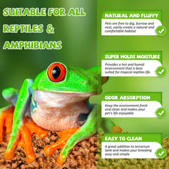 Legigo reptile substrate in terrarium creates natural habitat look.
