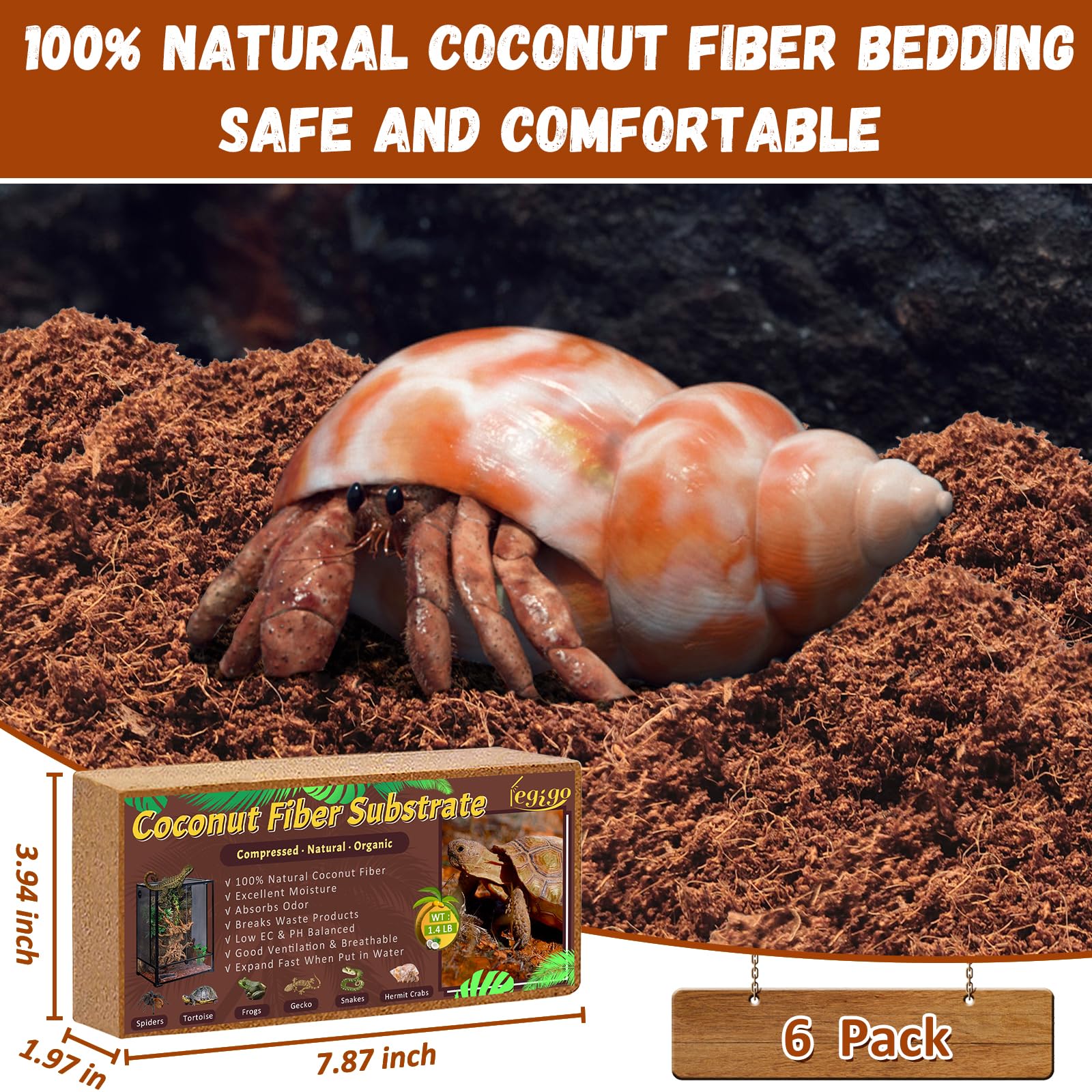 Legigo coconut fiber substrate expansion shows moisture absorption for clean terrariums
