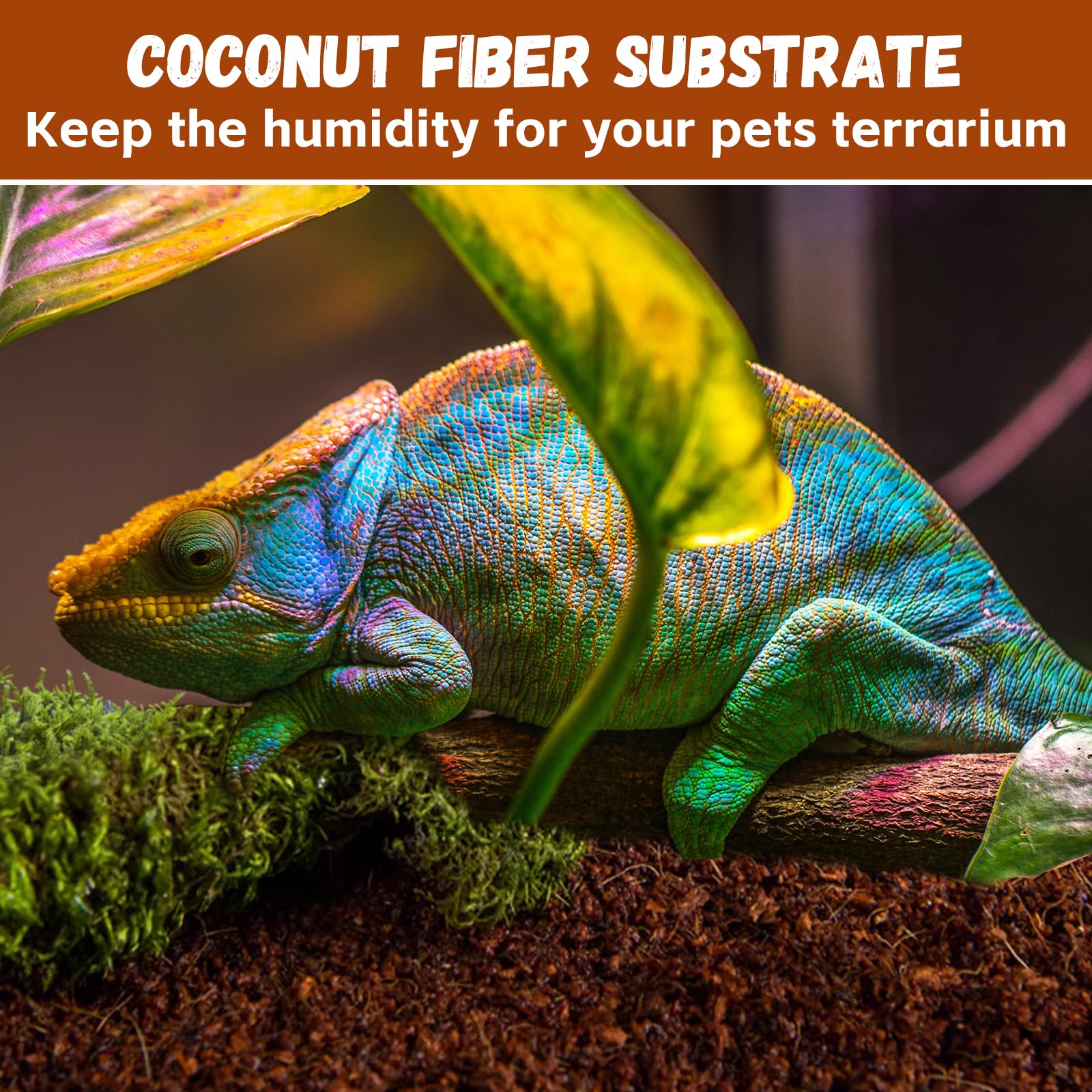 Legigo eco friendly disposal of spent coconut substrate