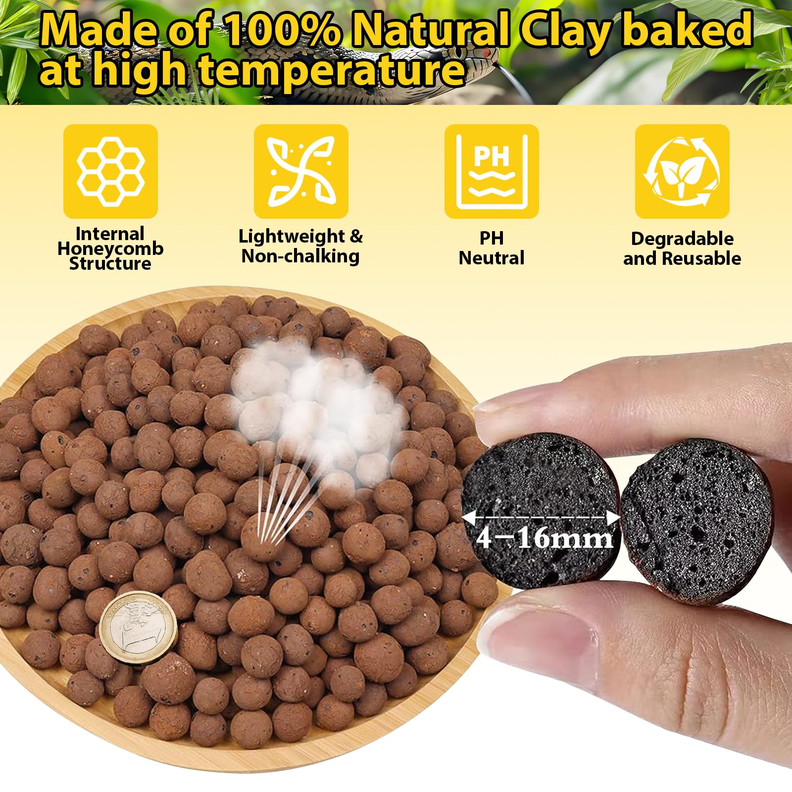 Legigo LECA balls in a bioactive terrarium promoting humidity stability and odor absorption.