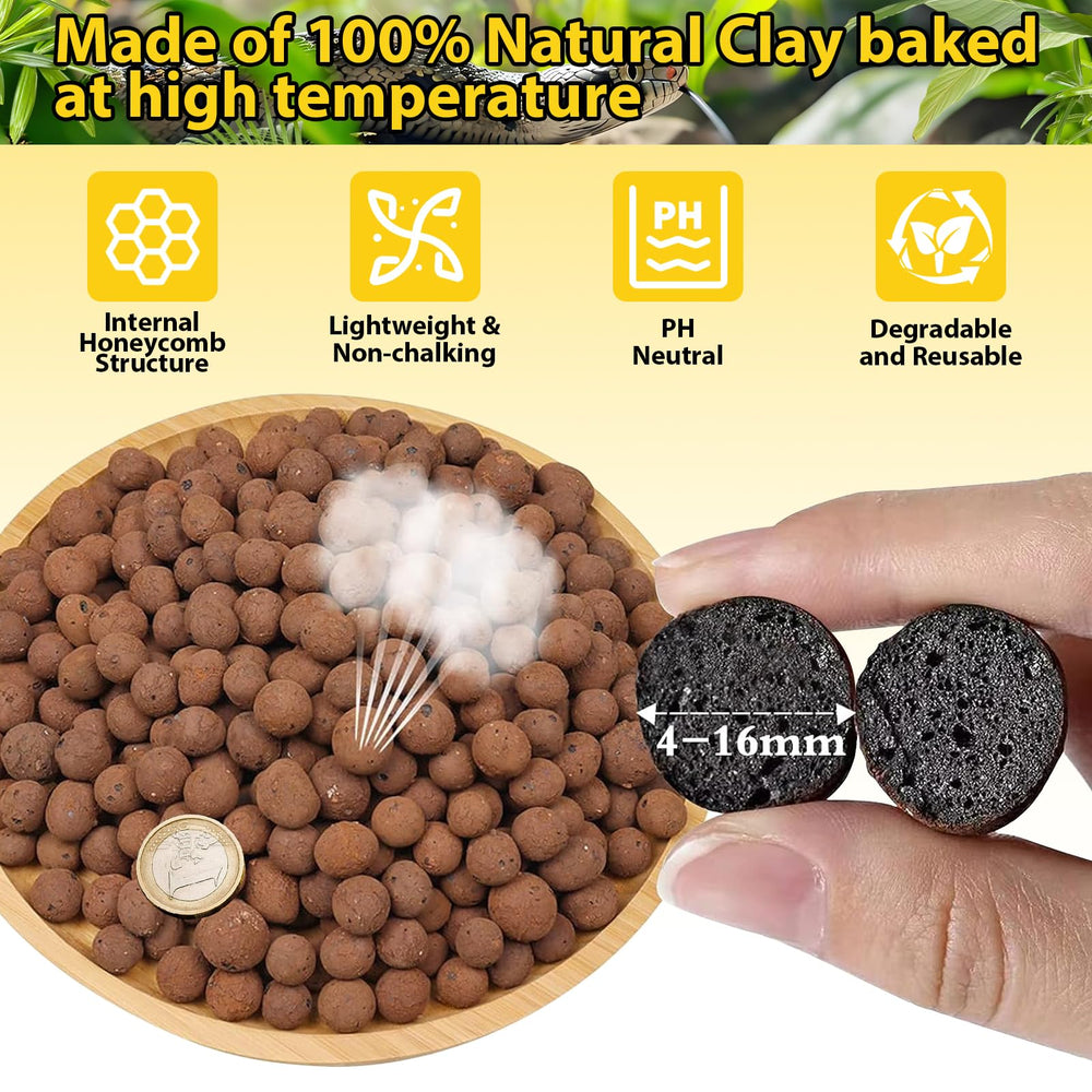 Legigo LECA balls in a bioactive terrarium promoting humidity stability and odor absorption.