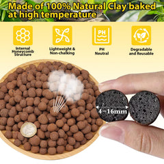 Legigo LECA balls in a bioactive terrarium promoting humidity stability and odor absorption.