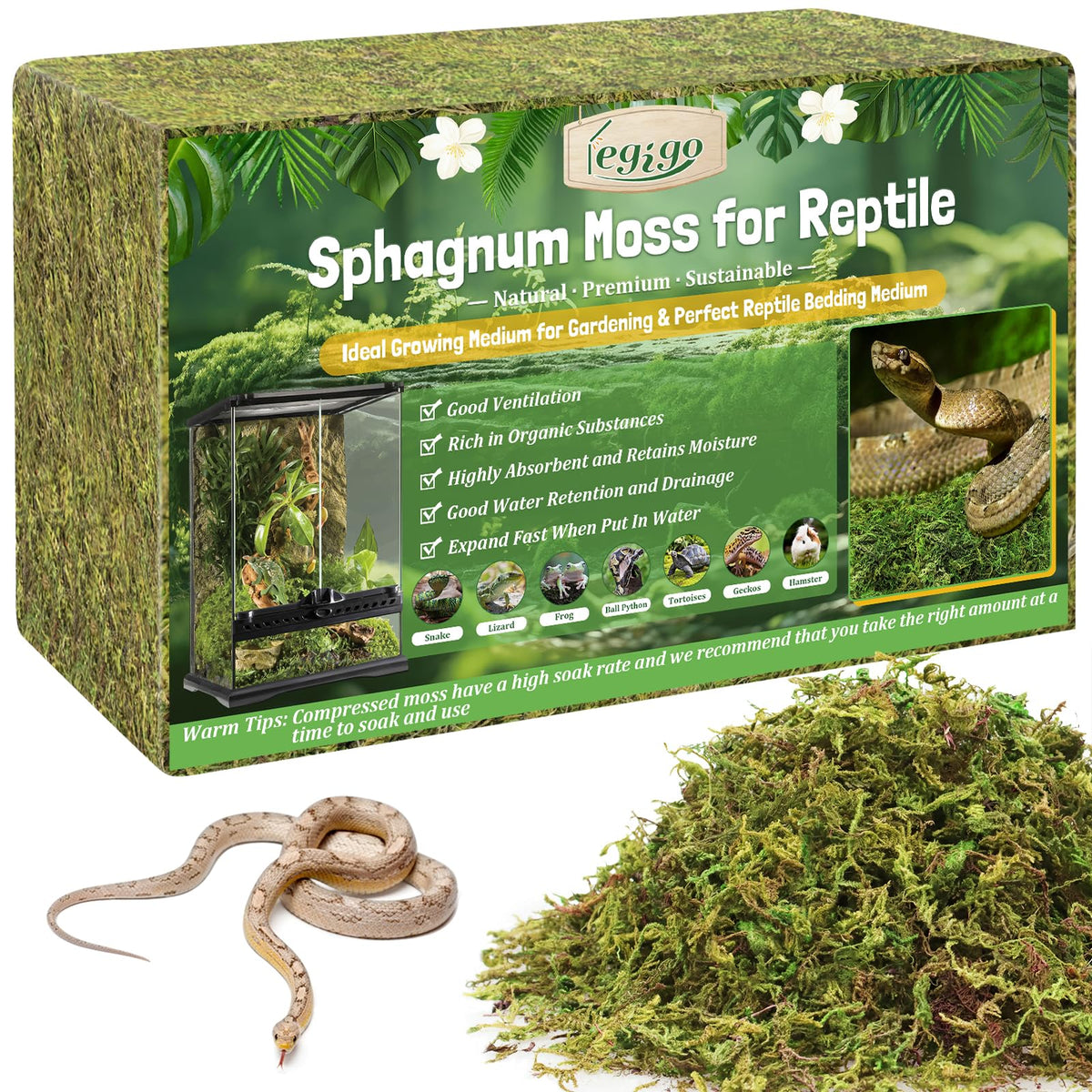 Legigo moss brick soaking to activate moisture for terrarium use
