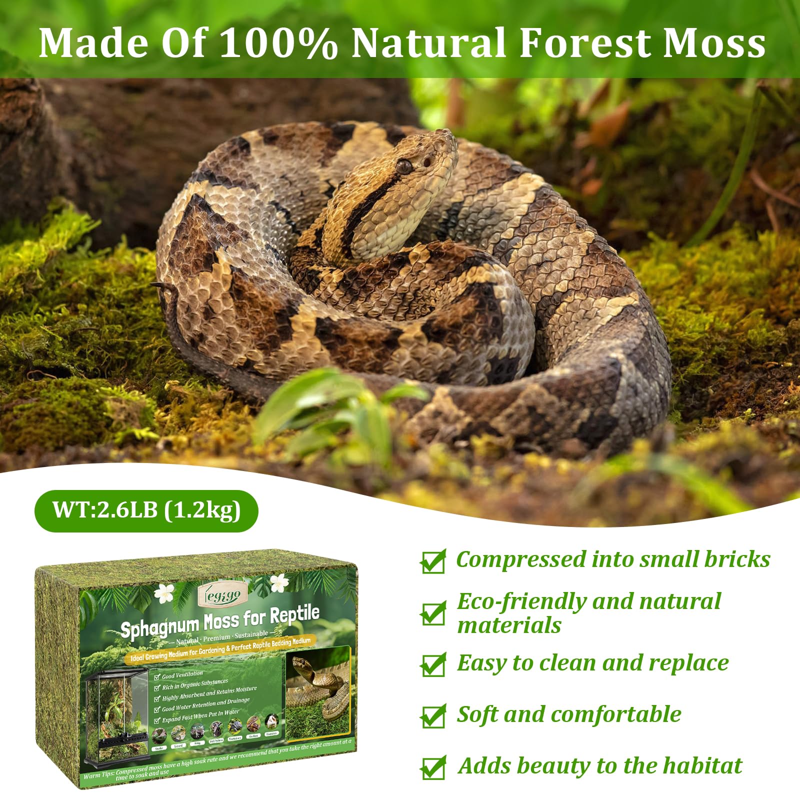Legigo moss deodorizes terrarium via odor absorption for a fresher habitat