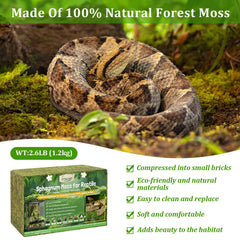 Legigo moss deodorizes terrarium via odor absorption for a fresher habitat