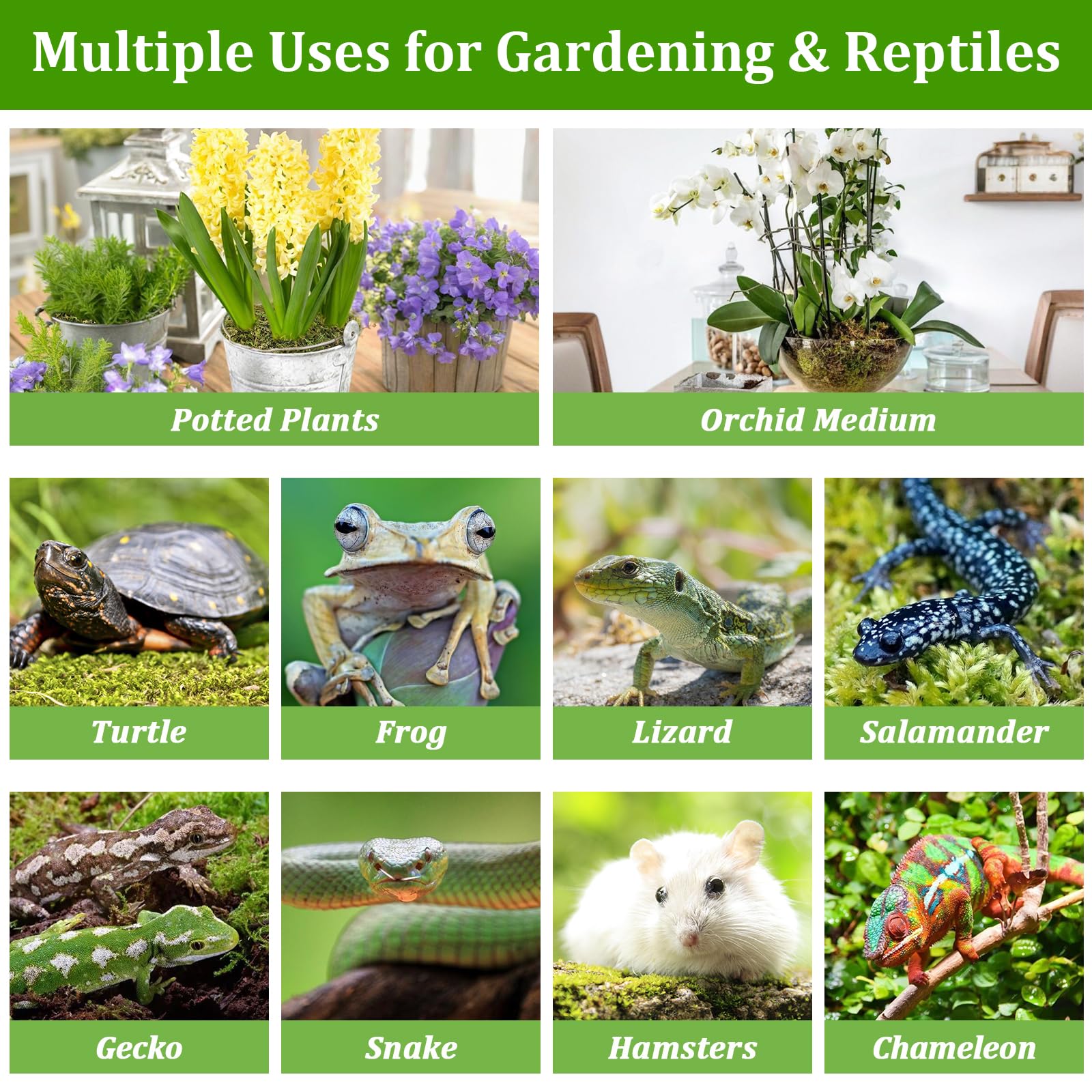 Legigo orchid-substrate moss supports orchid roots and humidity-loving plants