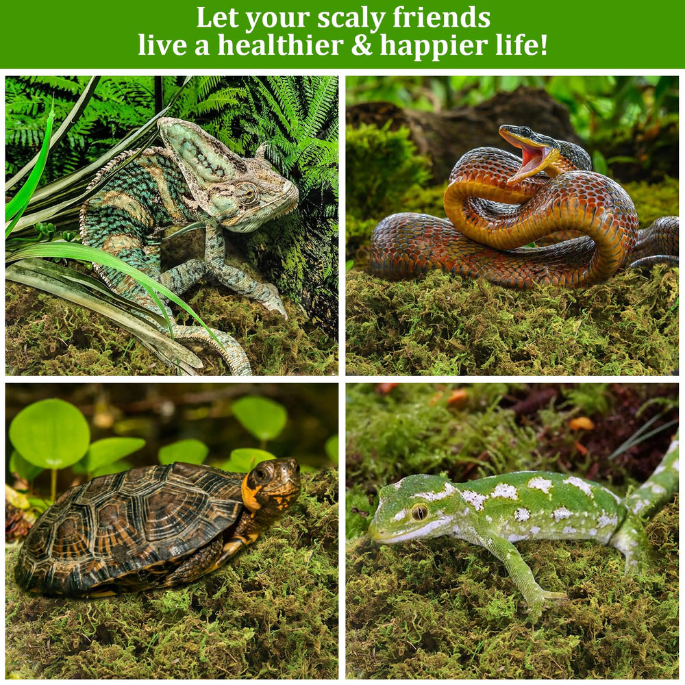 Legigo small-pets bedding moss provides soft, absorbent substrate