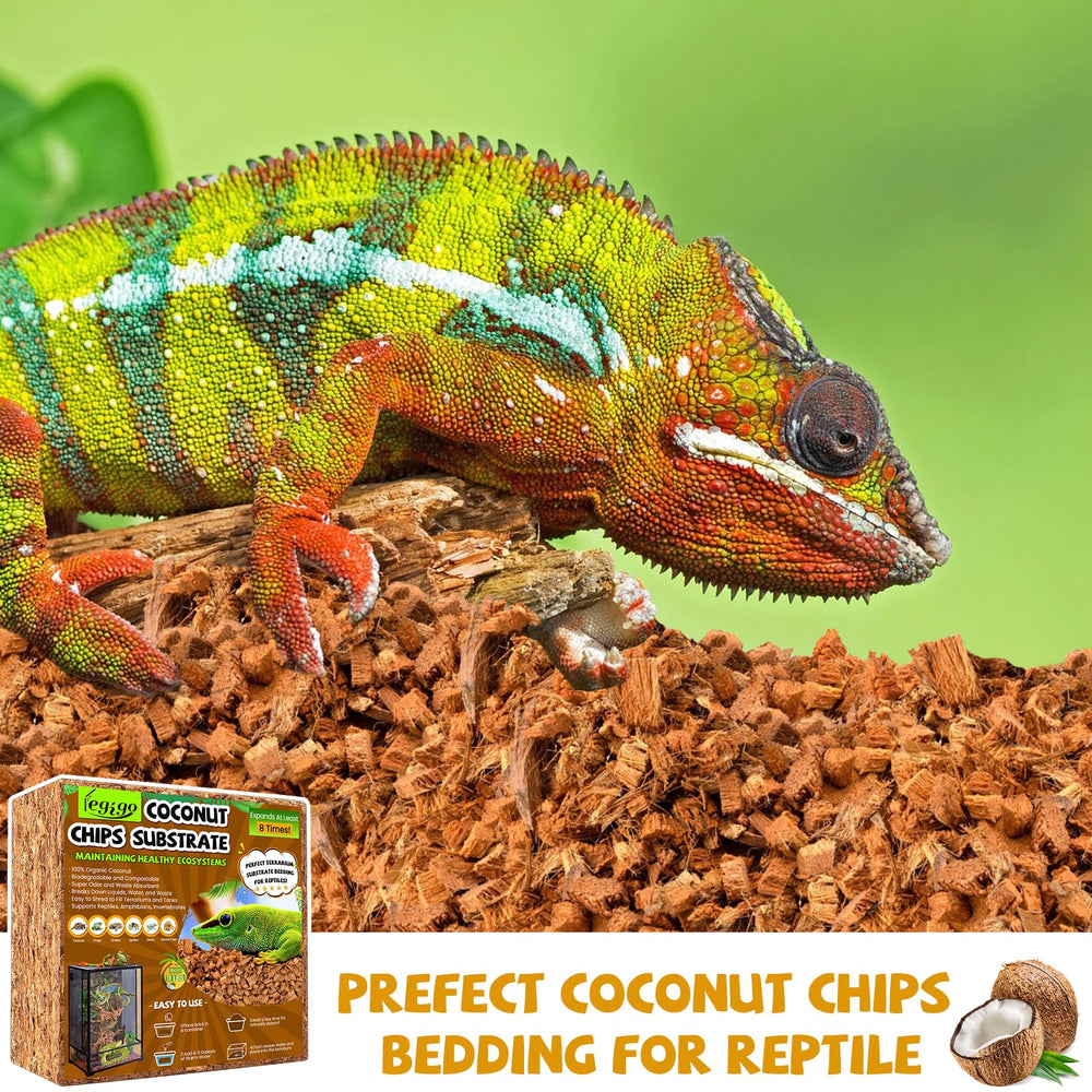 Legigo natural coconut material supports safe, stimulating habitats for reptiles.