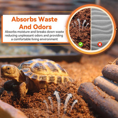 Legigo odor-absorbing coconut fiber bedding helps keep terrariums fresh.