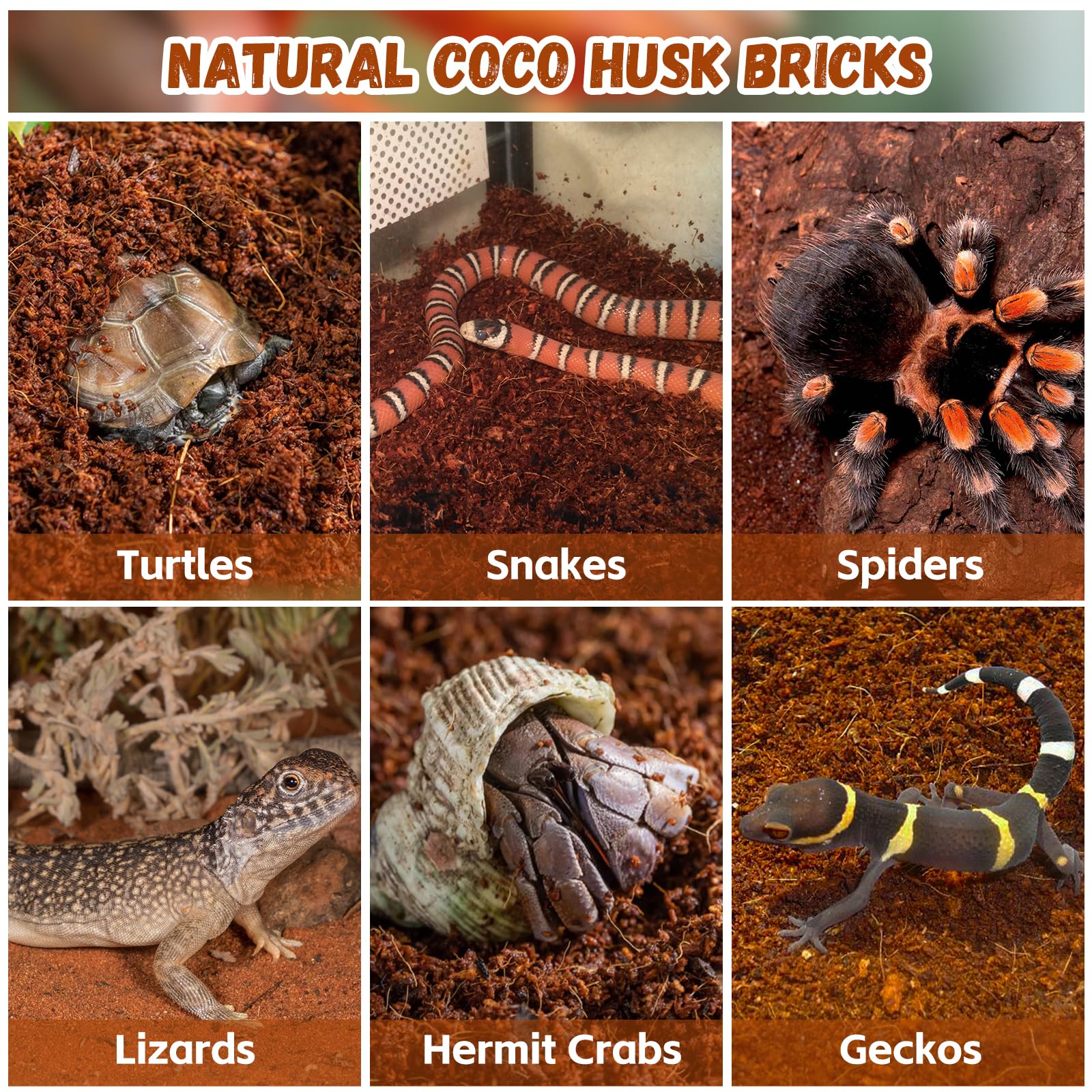 Legigo tunnel and burrow friendly substrate provides natural hiding spots