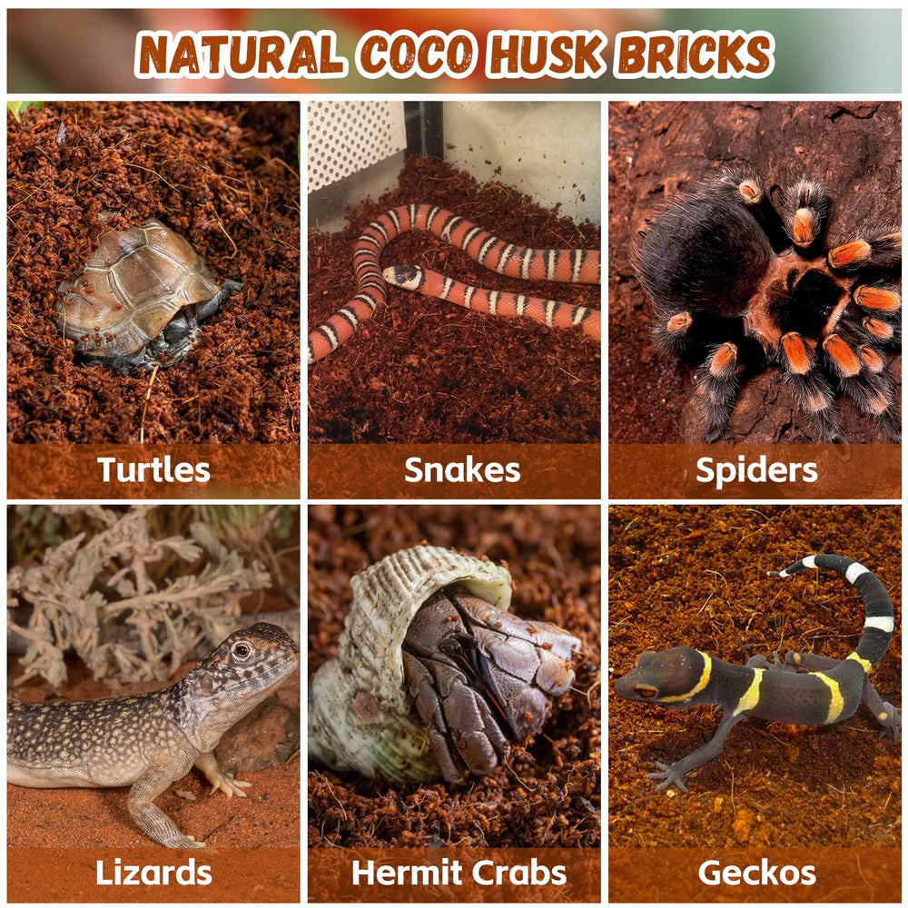 Legigo tunnel and burrow friendly substrate provides natural hiding spots