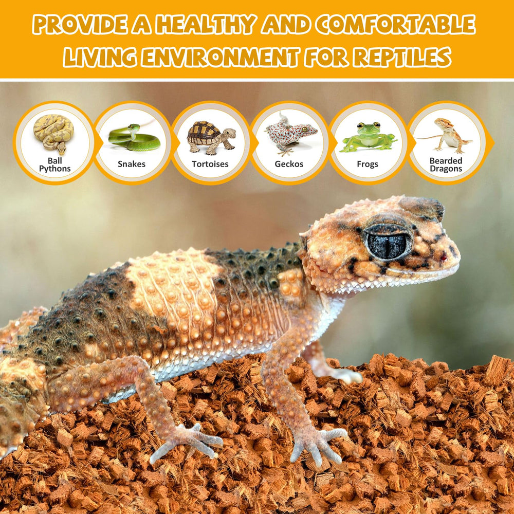 Legigo versatile substrate serves as garden mulch and hydroponic medium.