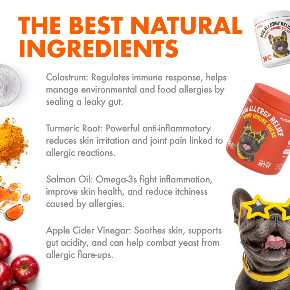 LEGITPET Allergy Relief Chews jar offers convenient storage and access