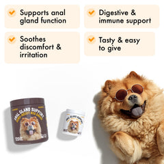 LEGITPET Anal Gland Relief Chews closeup highlighting soft texture for daily dosing.