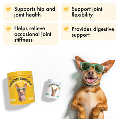 LEGITPET BioPerine image showing enhanced absorption for potent turmeric benefits.