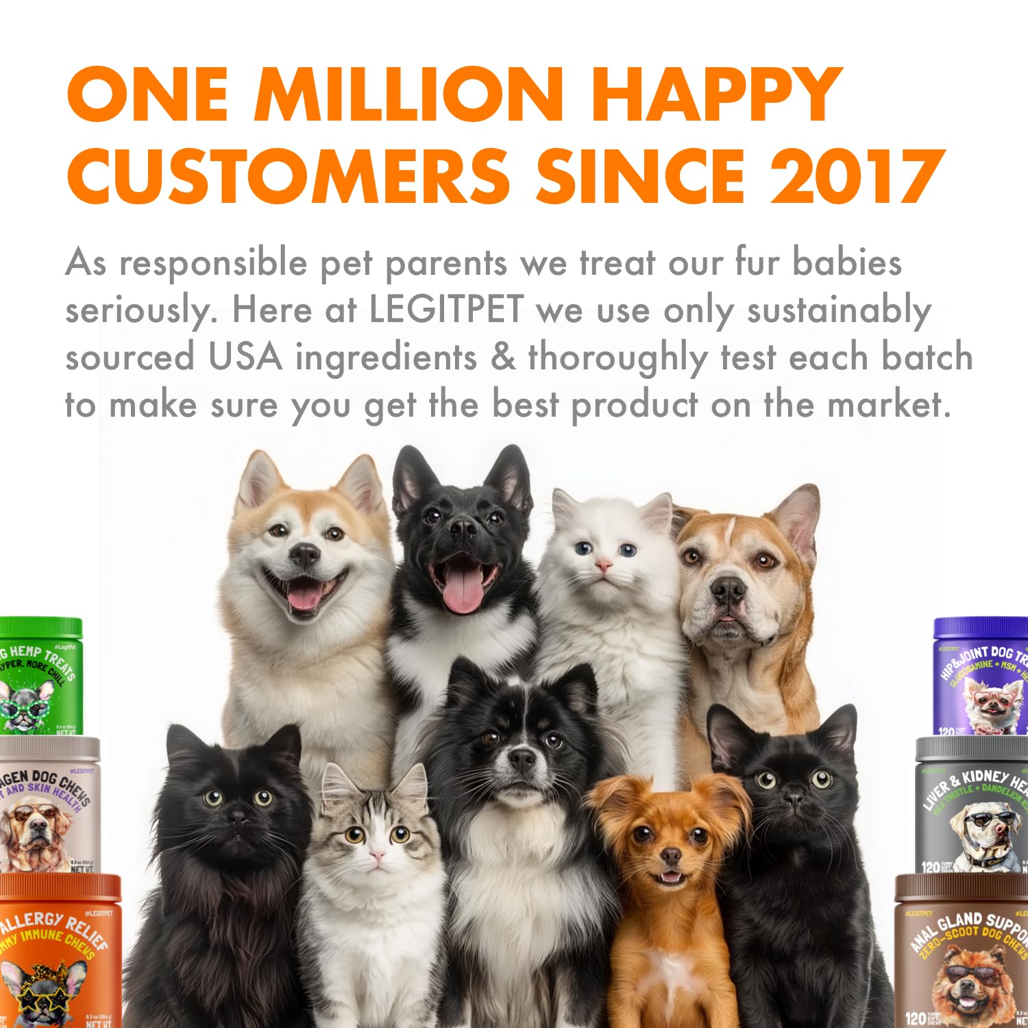 LEGITPET calm dog scene signaling gentle gut balance and regular routine.