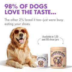 LEGITPET collagen dog chews active dog demonstrates mobility support.