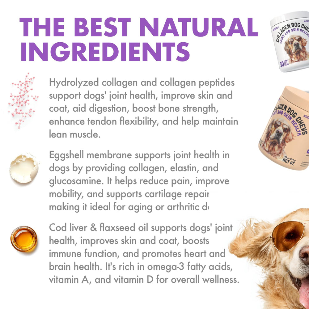 LEGITPET collagen chews skin and coat glow on close-up.