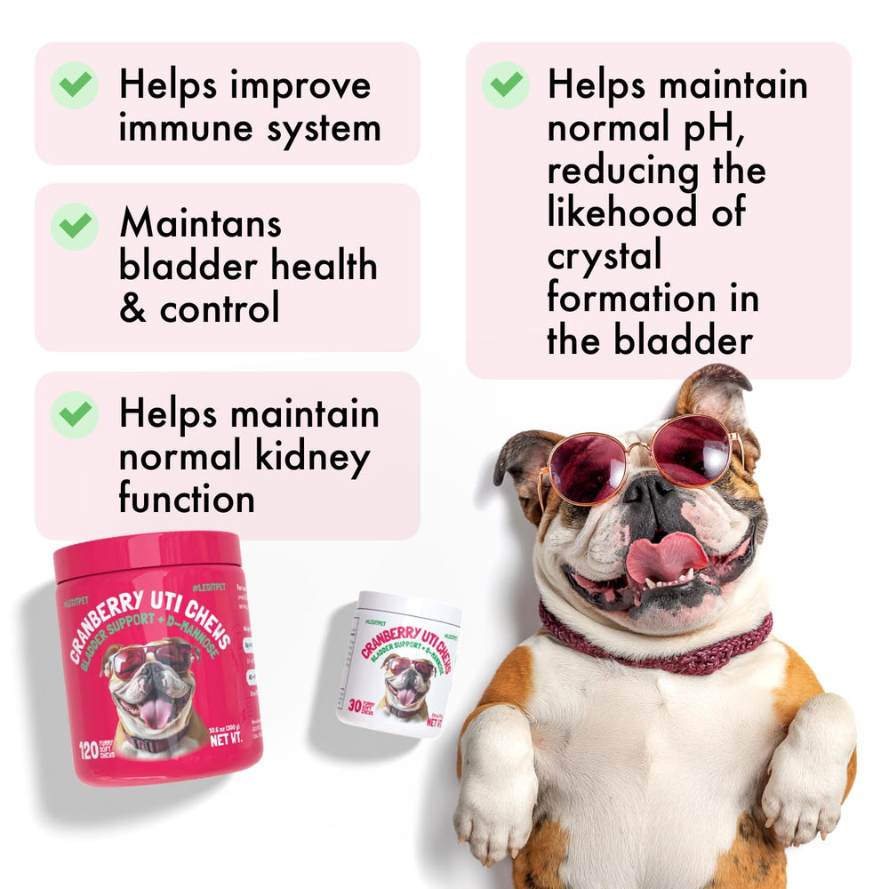 LEGITPET Cranberry UTI Chews dog with tasty chicken flavor ready for daily treats.