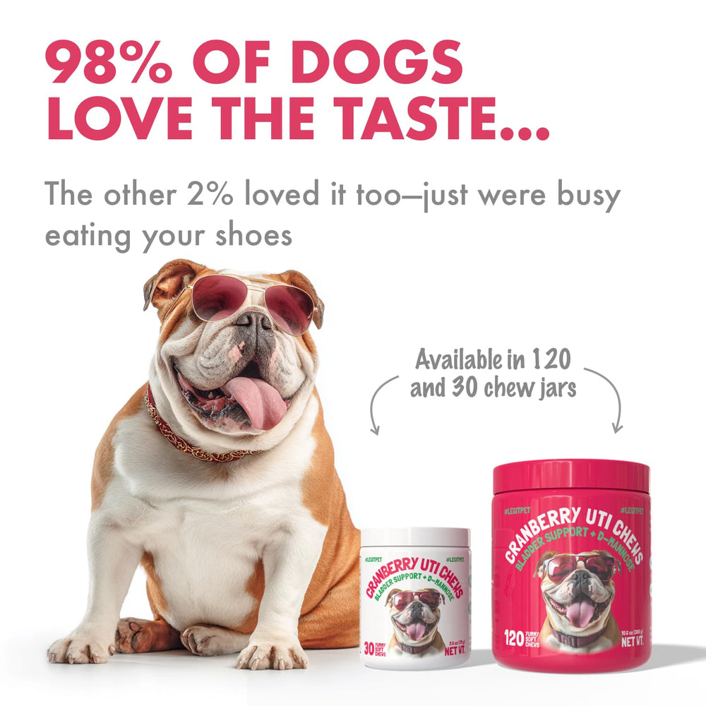 LEGITPET Cranberry UTI Chews soft chews close-up highlighting natural ingredients.
