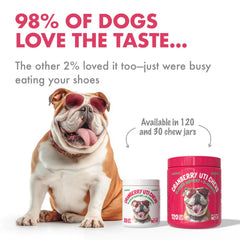 LEGITPET Cranberry UTI Chews soft chews close-up highlighting natural ingredients.