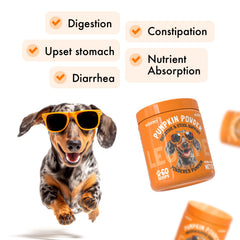 LEGITPET pumpkin powder jar highlighting natural pumpkin fiber for gut balance.