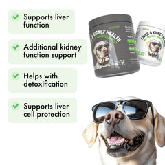 LEGITPET dog tasting soft chews beef flavor close-up highlighting tasty formula.