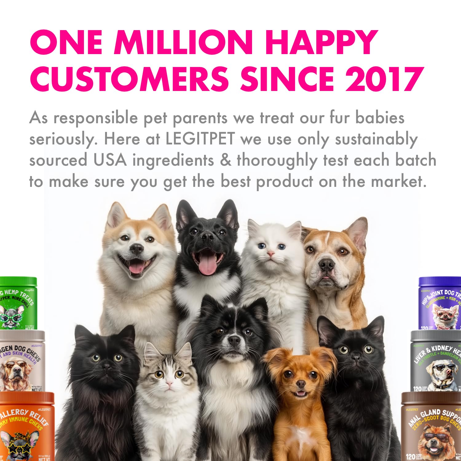 LEGITPET dog enjoying tasty omega-3 treats