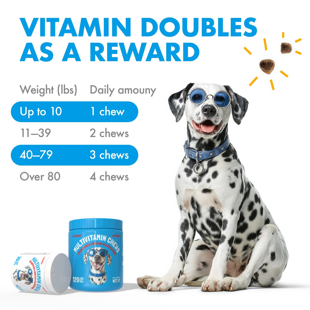 LEGITPET omega-3-6 vitamin E chews support coat shine and skin comfort.