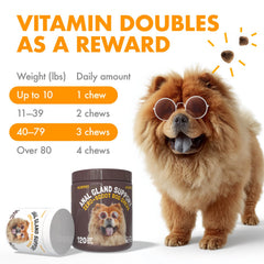 LEGITPET fiber-rich formula closeup emphasizing natural fiber for digestion.