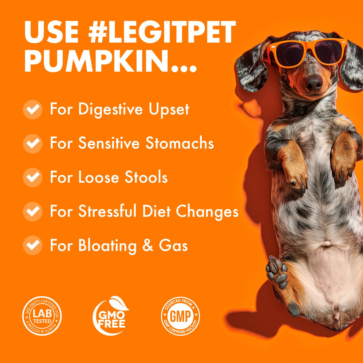 LEGITPET measuring scoop in use for easy daily portion control.