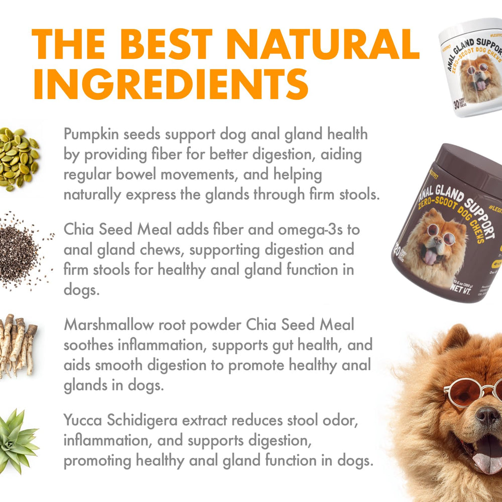 LEGITPET soft-chew texture image illustrating gentle chew experience for dogs.