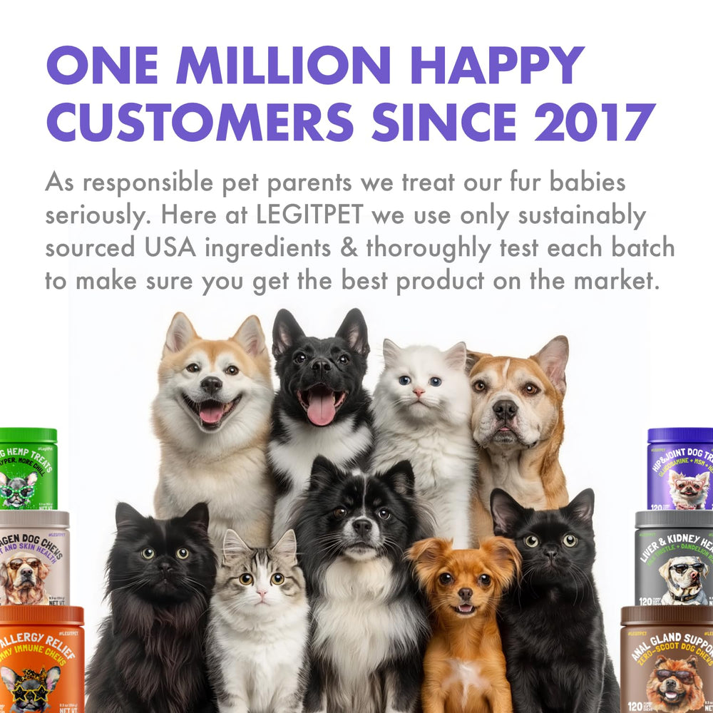 LEGITPET turmeric dog treats pack highlighting anti-inflammatory ingredient