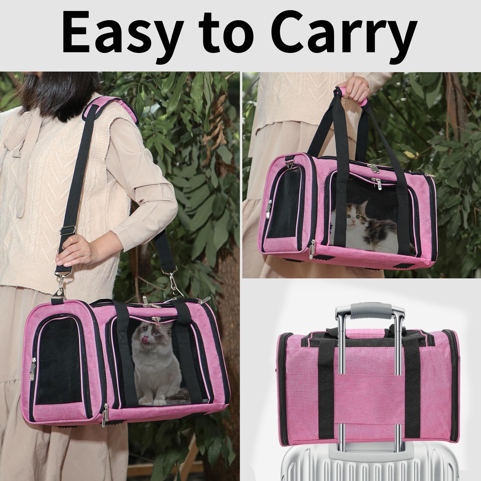 Airline-approved LEHNI carrier with under-seat fit and stable base