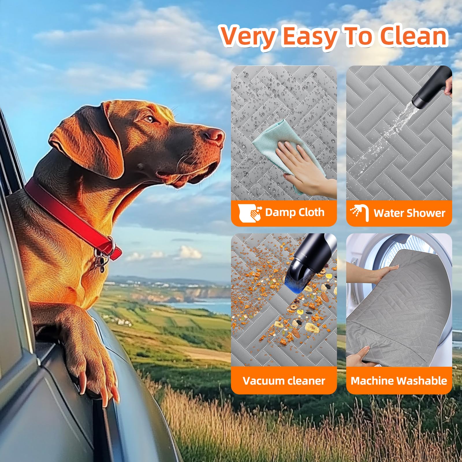 LEHNI dog enjoys a relaxed ride on the back seat extender