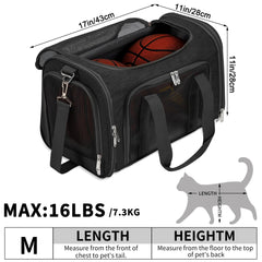 LEHNI carrier features breathable mesh windows for airflow and visibility.