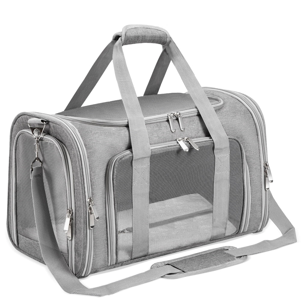 LEHNI soft-sided pet carrier front view showing sturdy frame for secure travel
