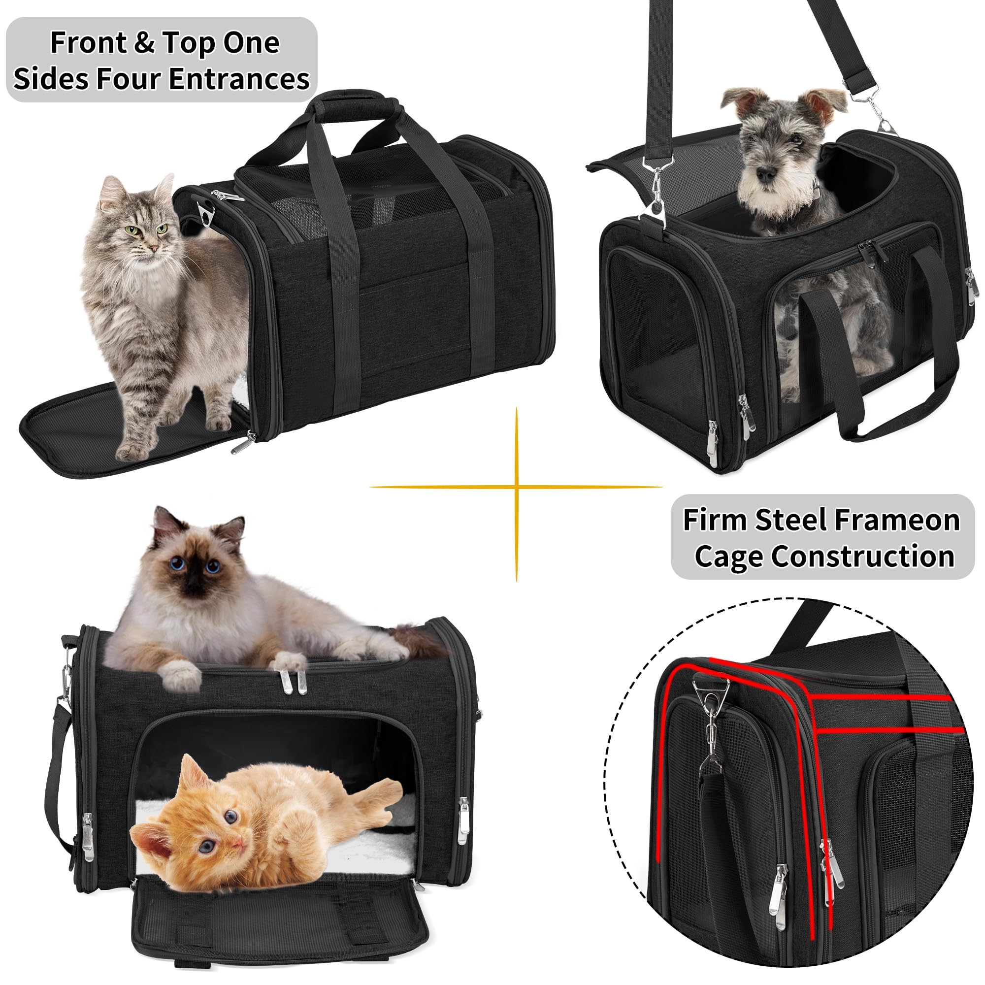 LEHNI carrier is lightweight at 2.2 lbs for effortless portability.