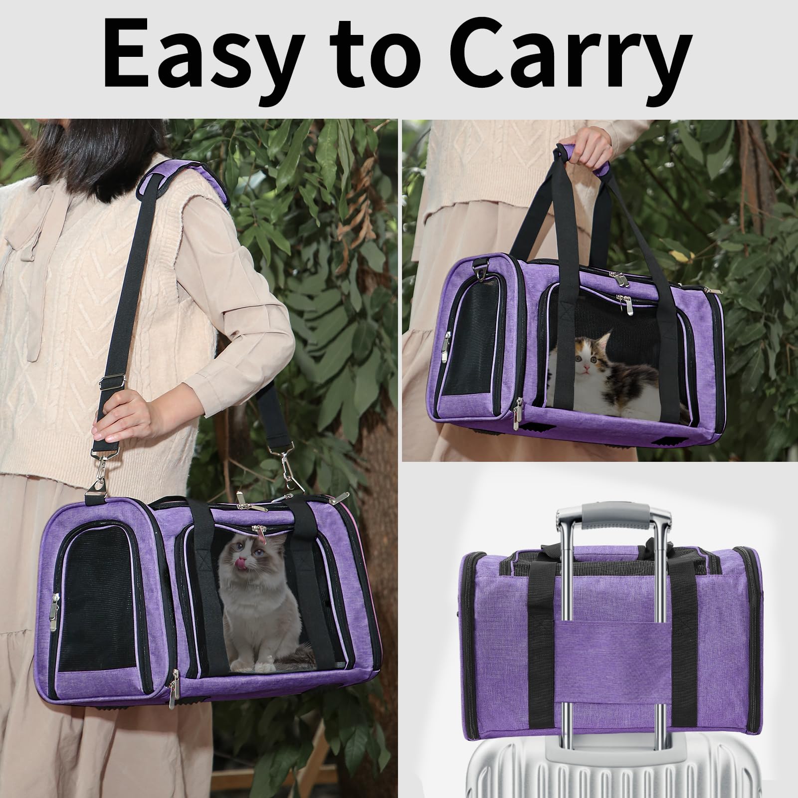 LEHNI purple soft-sided carrier designed for pets up to 16 lbs.