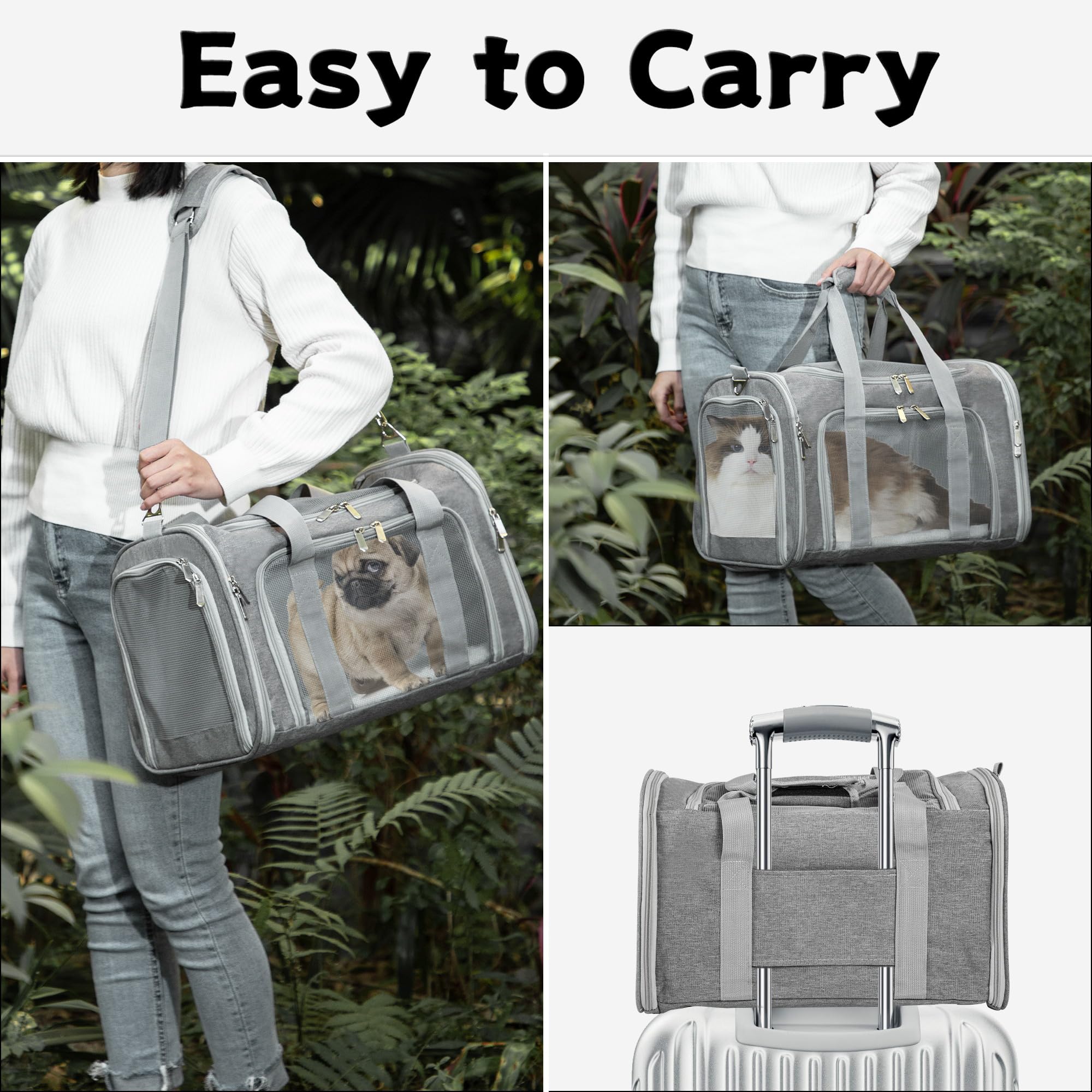 LEHNI soft-sided pet carrier removable mat for easy cleaning.