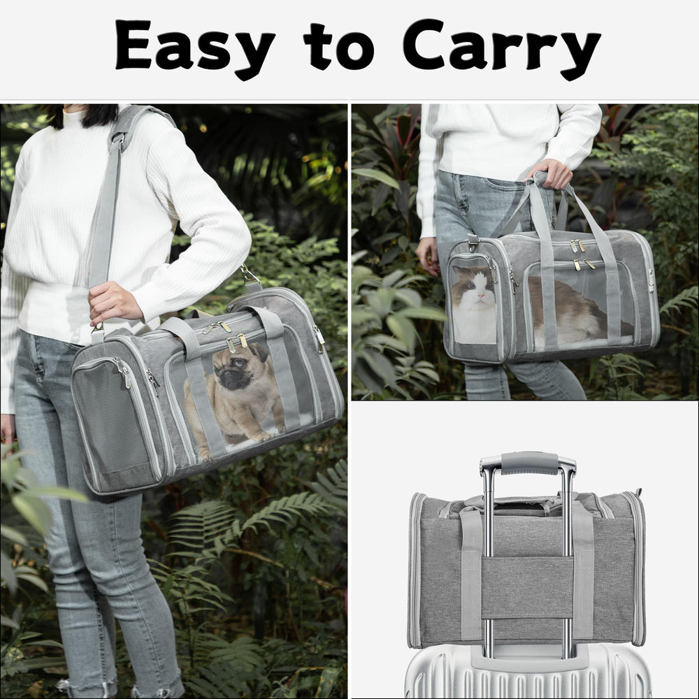 LEHNI soft-sided pet carrier removable mat for easy cleaning.