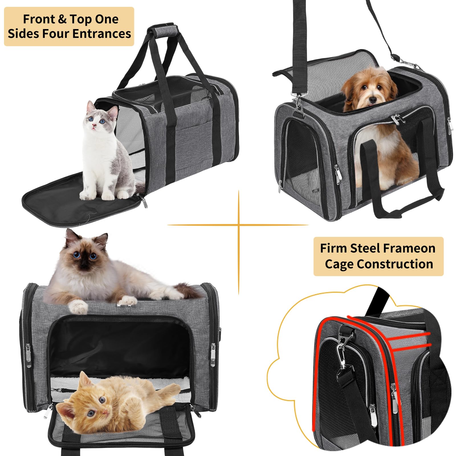 LEHNI carrier with adjustable shoulder strap ensures hands-free carrying on adventures.