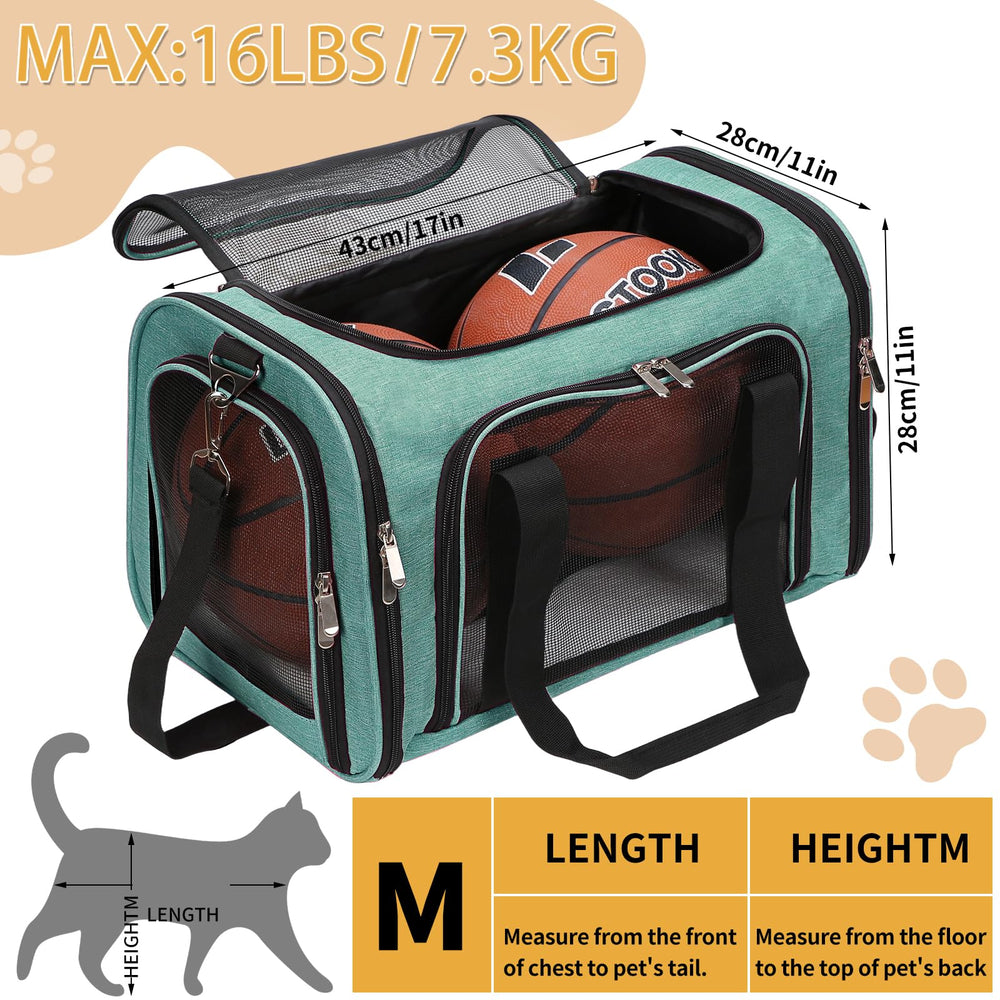 LEHNI turquoise carrier with four sided mesh windows for airflow