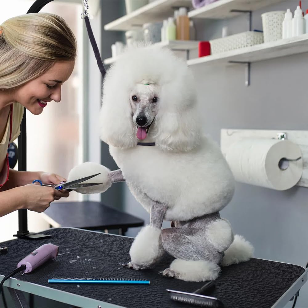 LEIBOU 36x24-inch dimensions give ample space for dogs