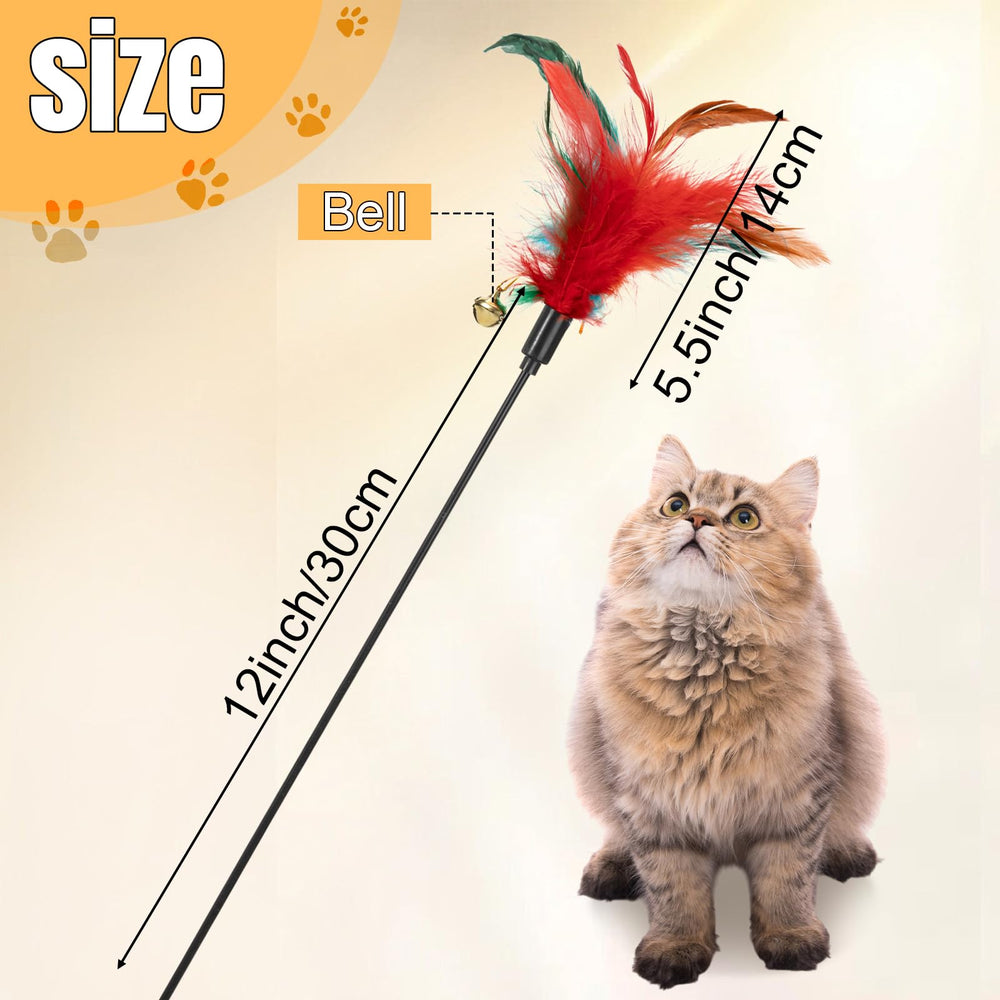 Leitee 50-pack cat feather toys for endless chasing and exercise indoors.