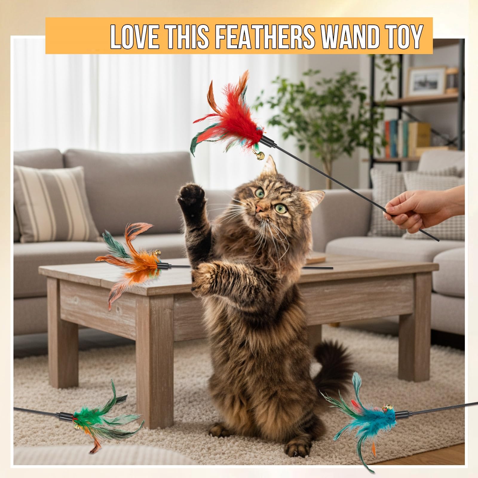 Leitee indoor cat toy set supports activity and agility through wand sessions.